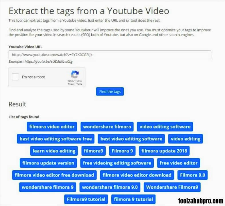 Youtube tags extractor tool showing video URL input